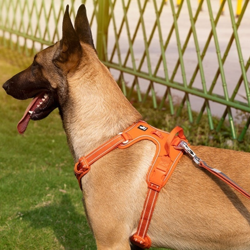 Reflective Dog Harness with Hand Holding Rope