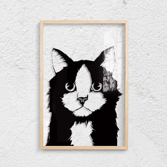 Transparent Cat Wall Art