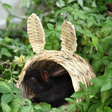 Handwoven Hibiscus Grass Pet Tunnel for Rabbits