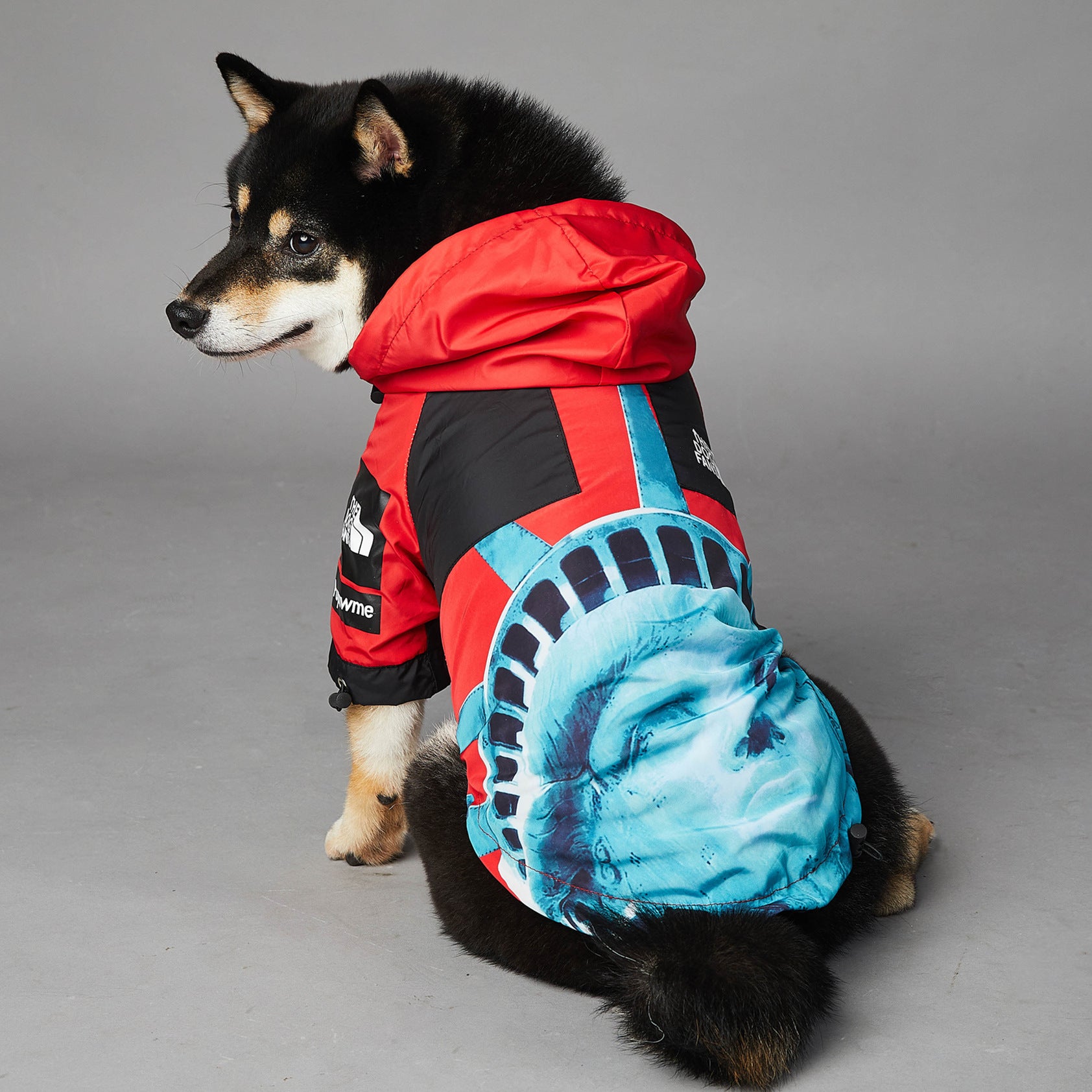 Windproof And Rainproof Dog Pet Shell Jacket
