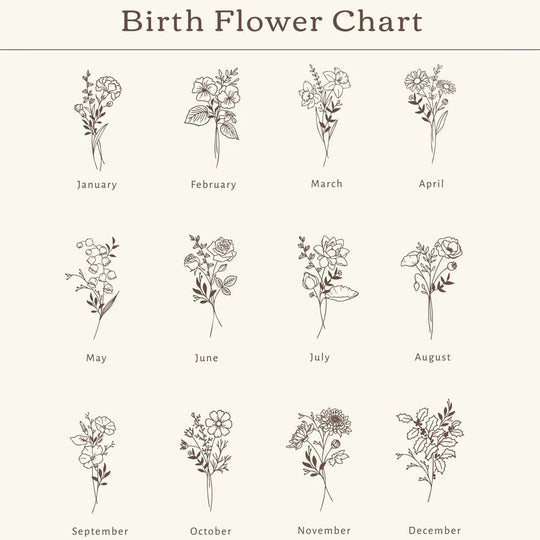Illustrations of flowers corresponding to each month 