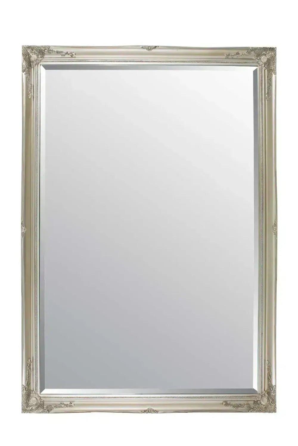 BUXTON EXTRA LARGE LEANER MIRROR 201 X 140CM - Lilpins Essentials