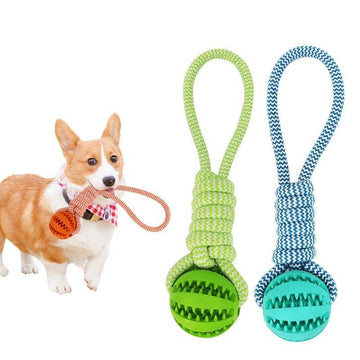 DOG TOYS - TREAT BALLS - Lilpins Essentials